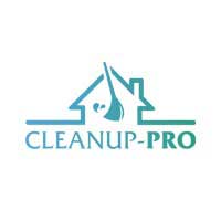 Cleanup Pro Łukasz Kaliś - Sprzątanie wnętrz i mycie okien