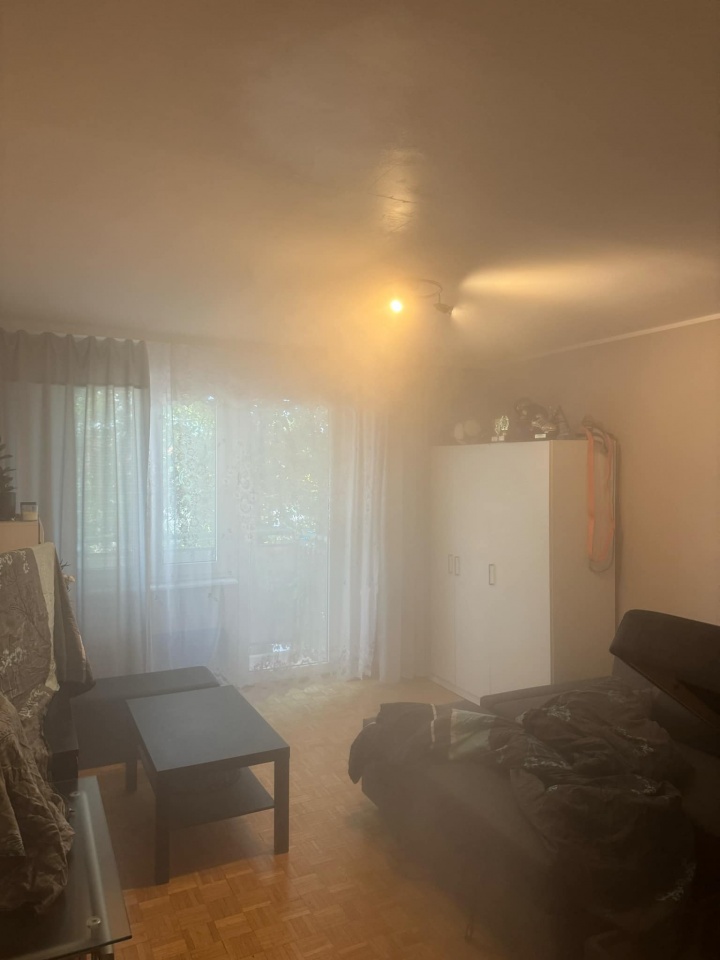 likwidacja szkodników