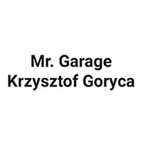Mr. Garage Krzysztof Goryca - Elektronika samochodowa