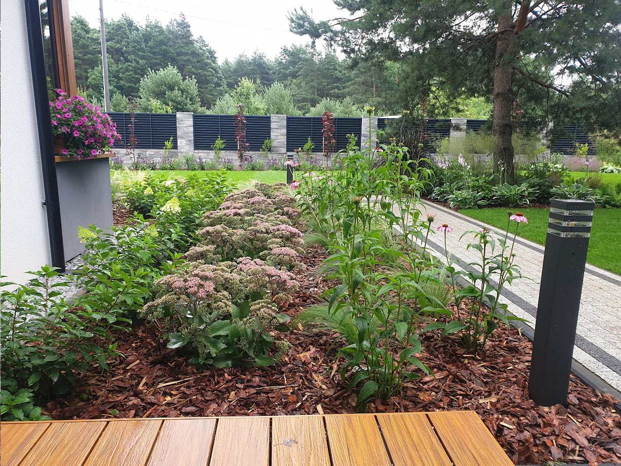 Betflor Olga Zalewska