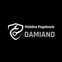 Katarzyna Sęp Mobilne Pogotowie Damiano - Stacje diagnostyczne i przeglądy techniczne