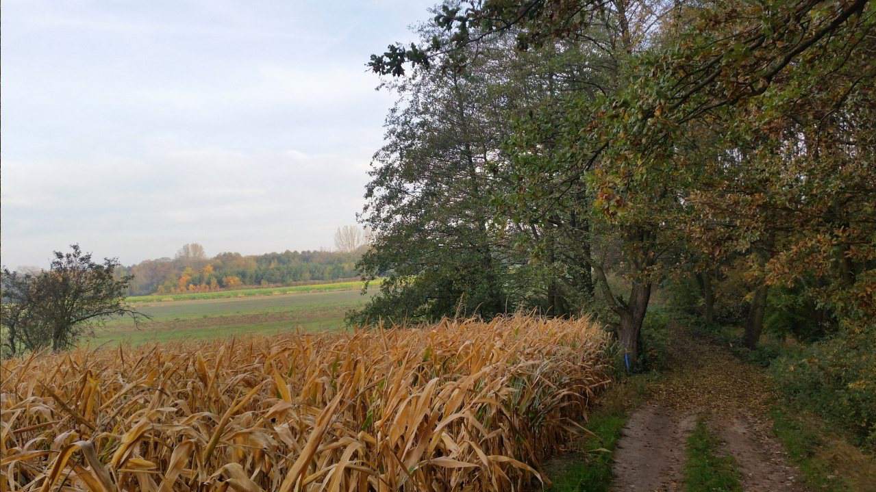 działki na sprzedaż