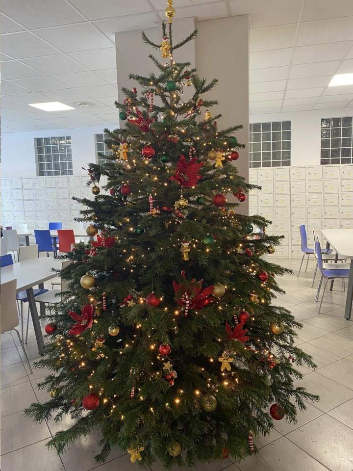 choinka świąteczna