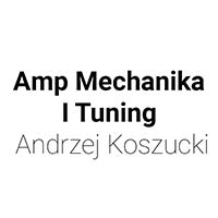 Amp Mechanika I Tuning Andrzej Koszucki - Stacje diagnostyczne i przeglądy techniczne