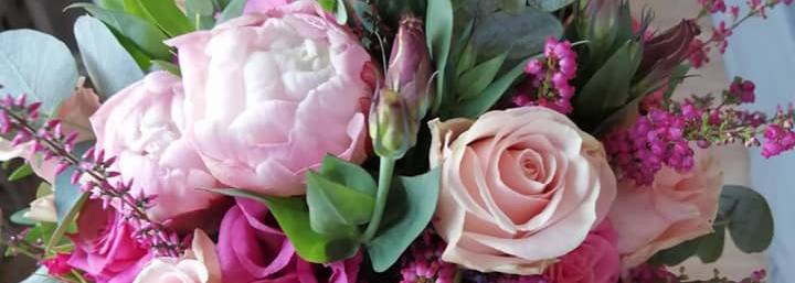 Centrum Ogrodnicze Fantazja Wioleta Modrzejewska