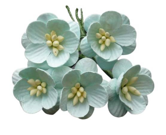 kwiaty wiśni seledynowe