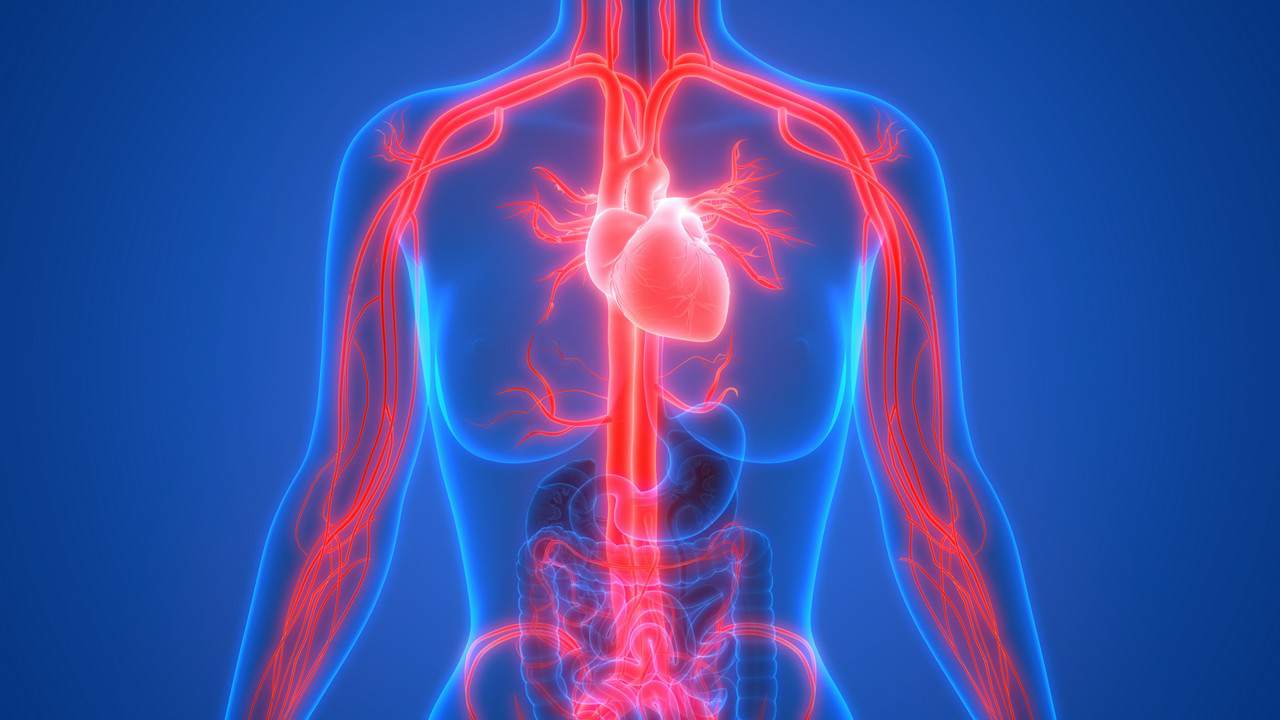 zabiegi chirurgiczne