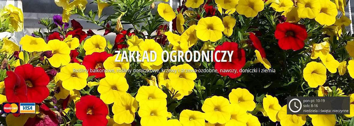 Sequoia Centrum Ogrodnicze