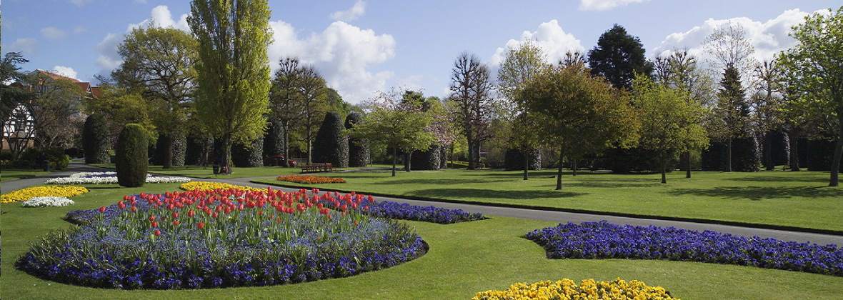 Greenlands Andrzej Kotłowski