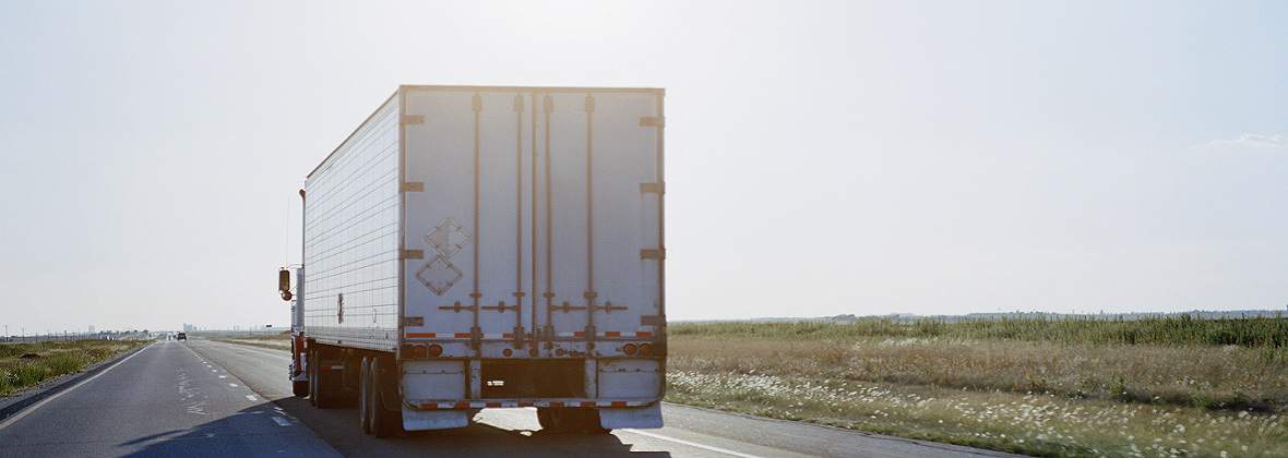 Dorota Kowalczyk Transport Towarowy