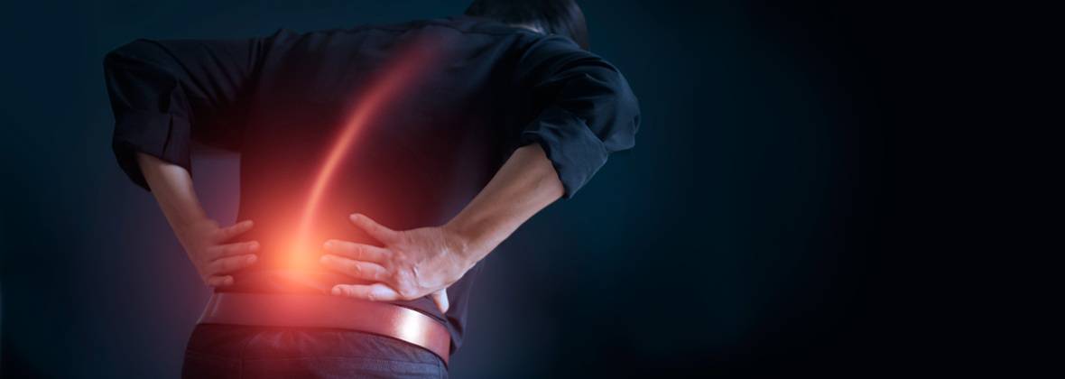 Paweł Grzebień Reha Expert