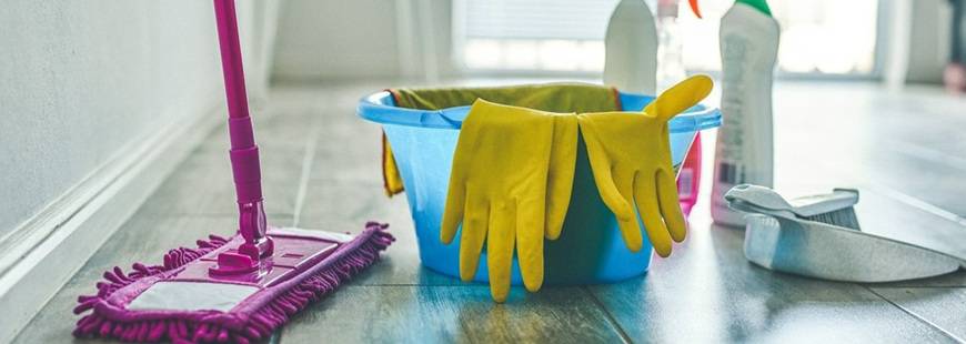 Oleksandra Melnykova FU Dom Czysty+