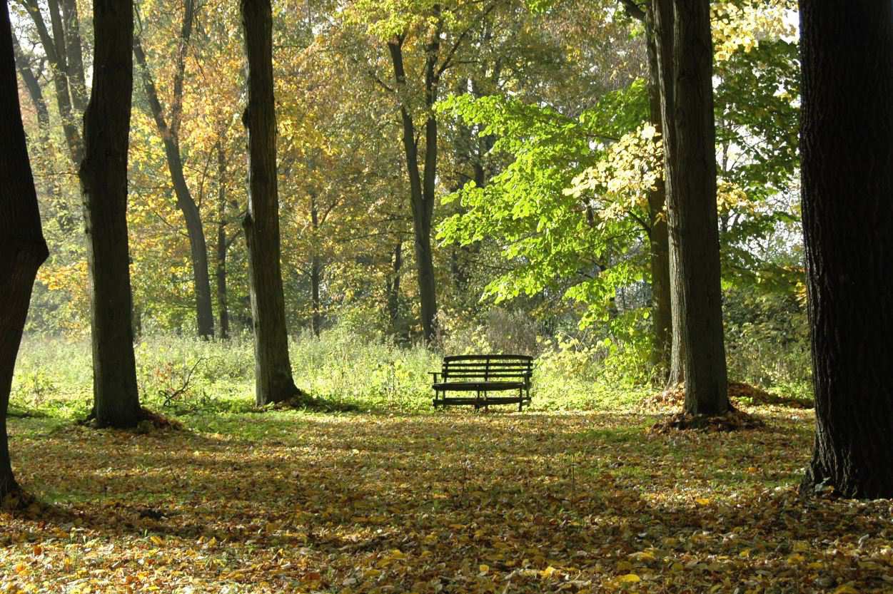 pielęgnacja osób starszych