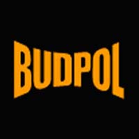 Budpol Węzły betoniarskie naprawa i serwis Karol Baran - Serwis i części do maszyn budowlanych