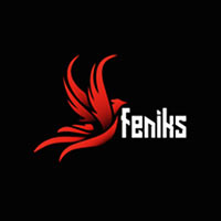 Feniks Projektowanie Graficzne Wiktoria Maciejewska - Drukarnie i poligrafia