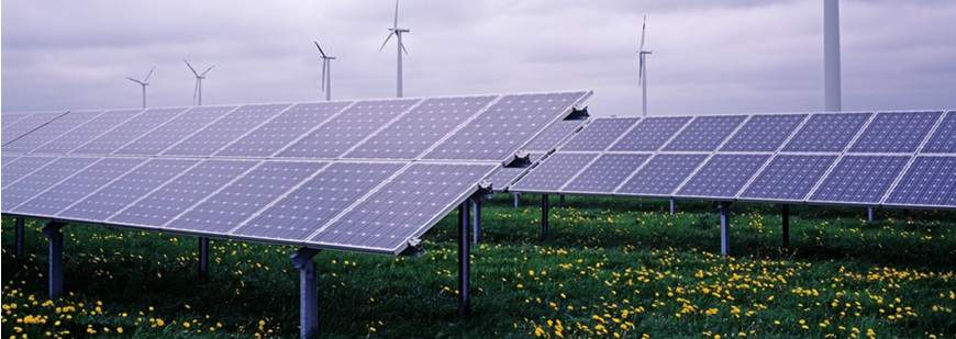 Kastel Invest Kamila Stelmach