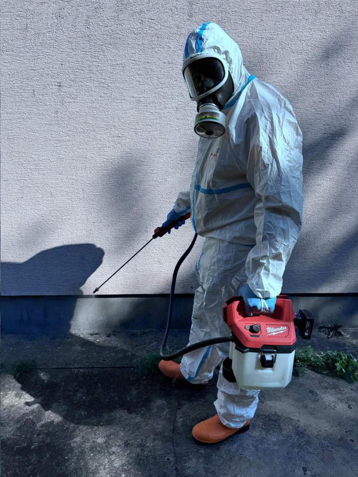 zwalczanie prusaków