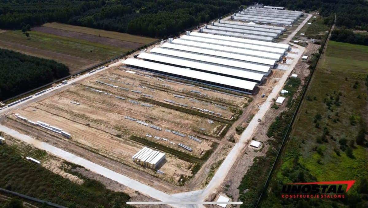 budowa hal