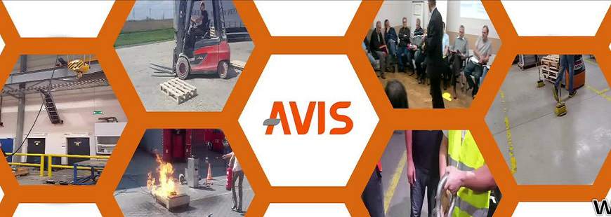 Avis, Zielona Góra