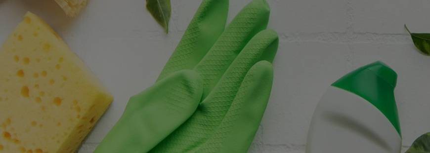 Naturalne sprzątanie bez chemii Anna Wieczorkowska