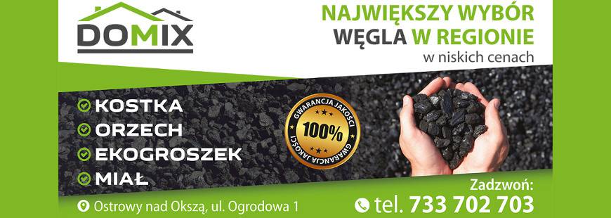 Domix Phu Dariusz Lasota