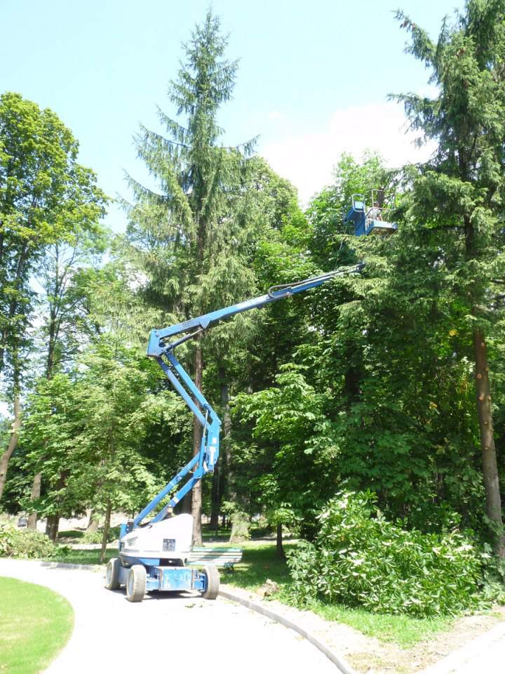 usługi podnośnikiem