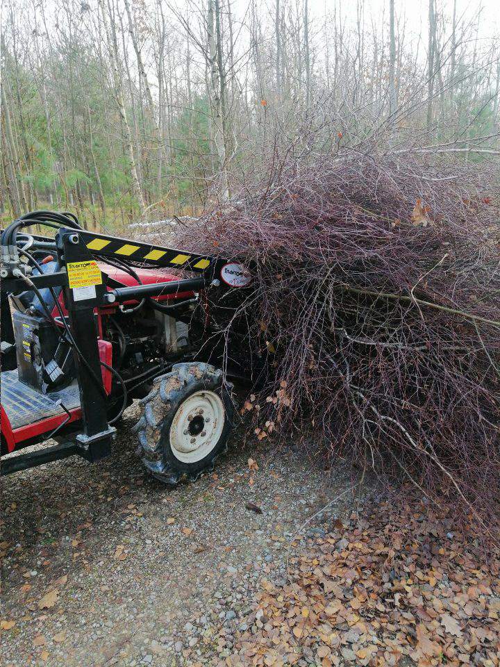 wywóz gałęzi