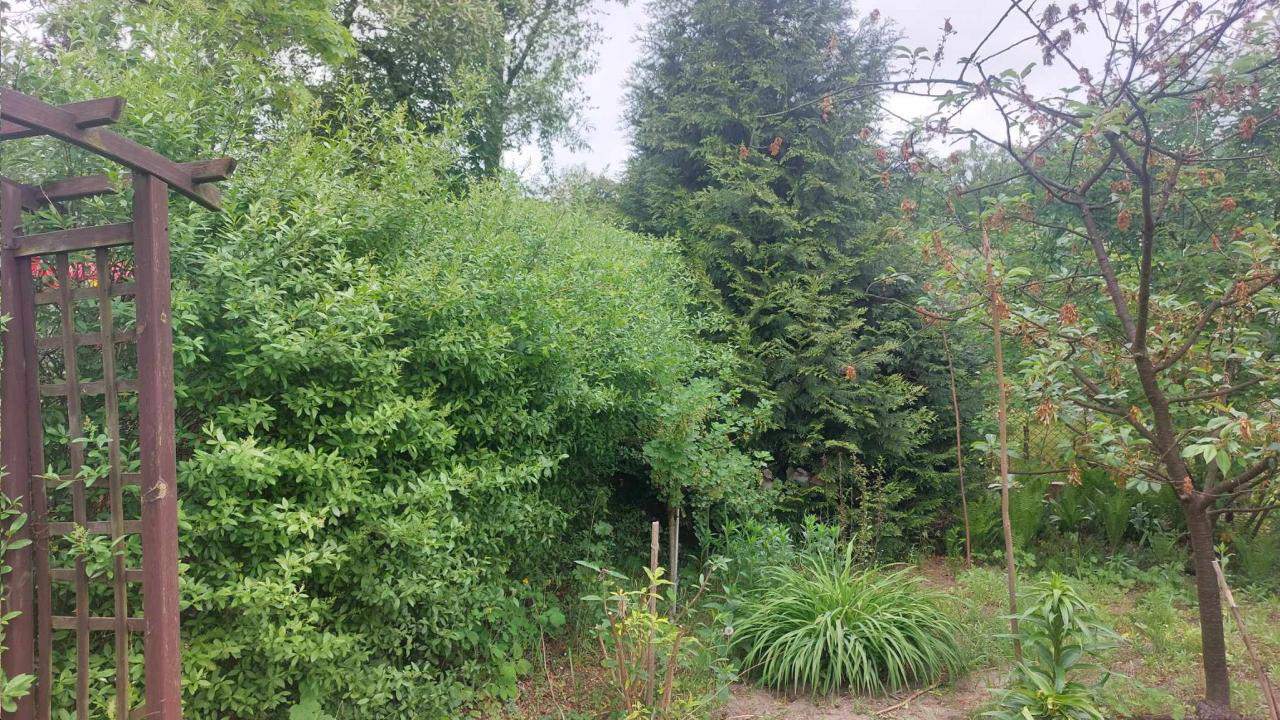 usługi podnośnik koszowym