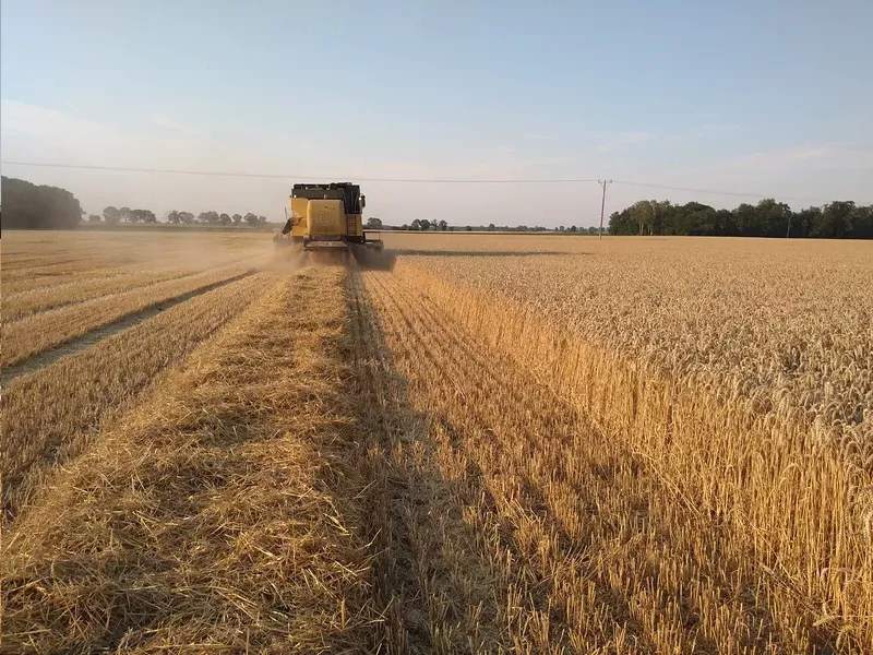 Artur Barczak Gospodarstwo rolne