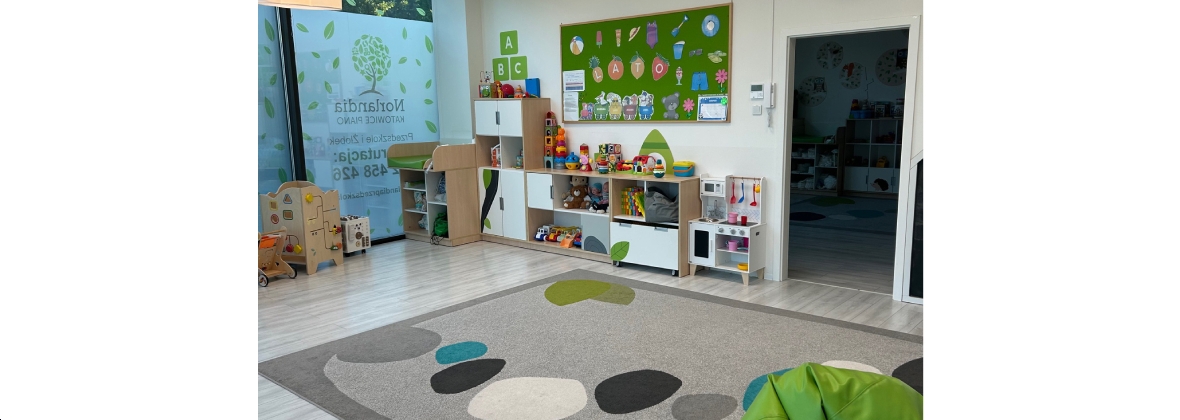 Przedszkole i Żłobek Norlandia Katowice Piano