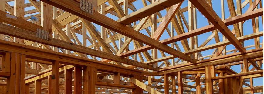 S.j. Buduj z Pasją Sp. z o.o.