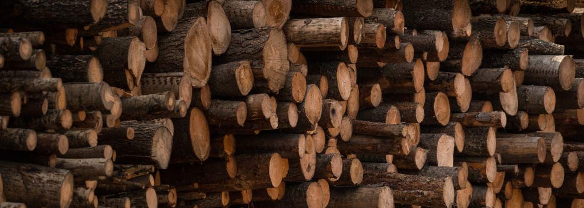 Warm-Trak Piotr Wardzyński, Pieniężno