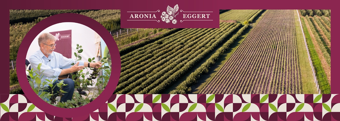 Piotr Eggert Szkółka Specjalistyczna Aronii Czarnoowocowej, Kolonia Bądków