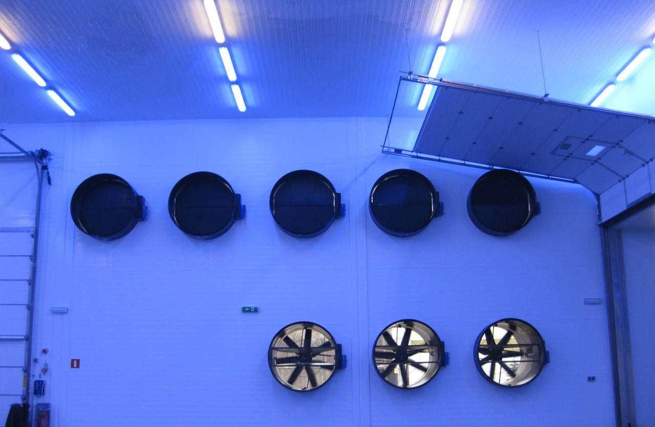 budowa hal stalowych