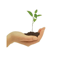 Rutkowska Aleksandra Gabinet Psychologiczny - Psychiatrzy psycholodzy i psychoterapeuci