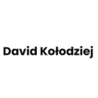 David Kołodziej - Urządzenia elektroniczne