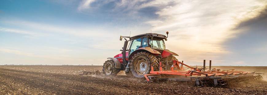 Czemarol Papugowie Sp. z o.o.