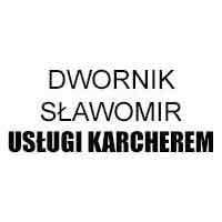 Dwornik Sławomir Usługi Karcherem Czysczenie Tapicerki Meblowej i Samochodowej - Czyszczenie i renowacja dywanów i wykładzin