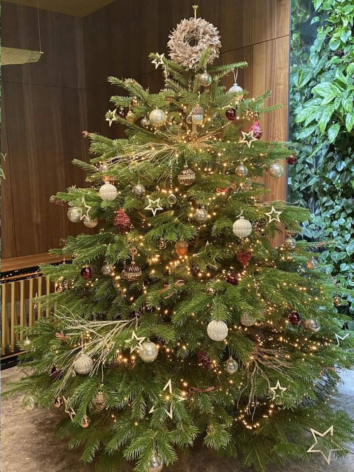 choinka na Boże Narodzenie