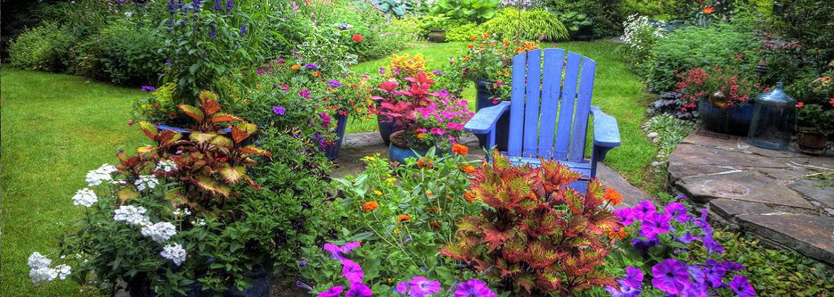 Ogród marzeń Mykola Stadnik, Warszawa