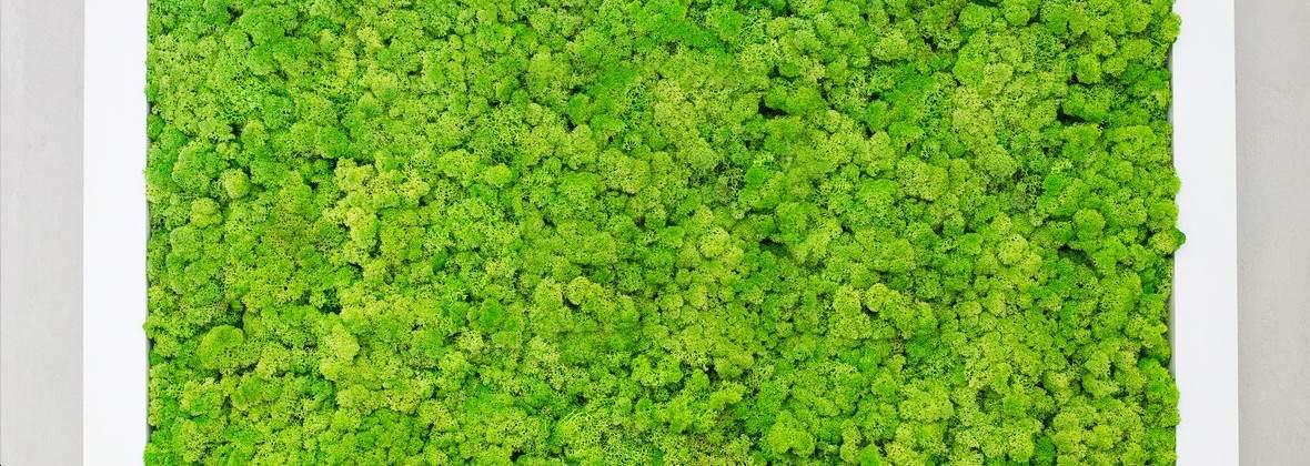 Paulina Borończyk Pracownia Rękodzieła