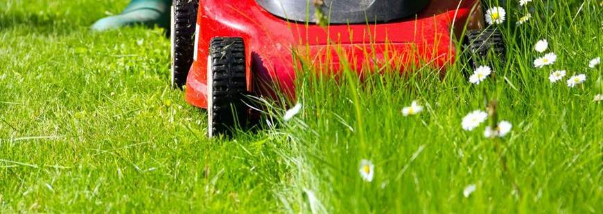 Profesjonalne odśnieżanie posesji prywatnych i firmowych - Agro-Drew Maciej Paluszak