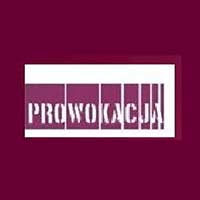 Salon Fryzjerski Prowokacja Daria Krzesińska - logo