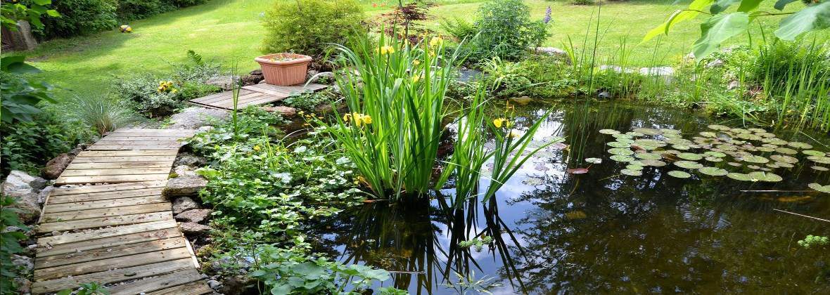 Ogród Serwis Mariusz Dembiński