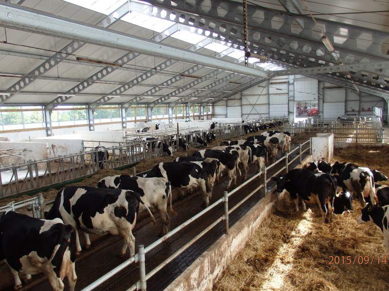 żywność ekologiczne