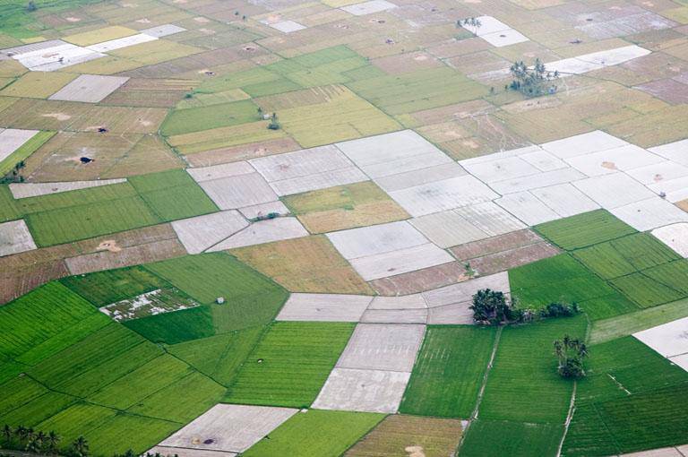 rozgraniczenia działek