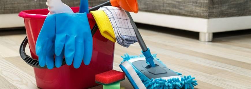 Express Clean Paulina Siwek