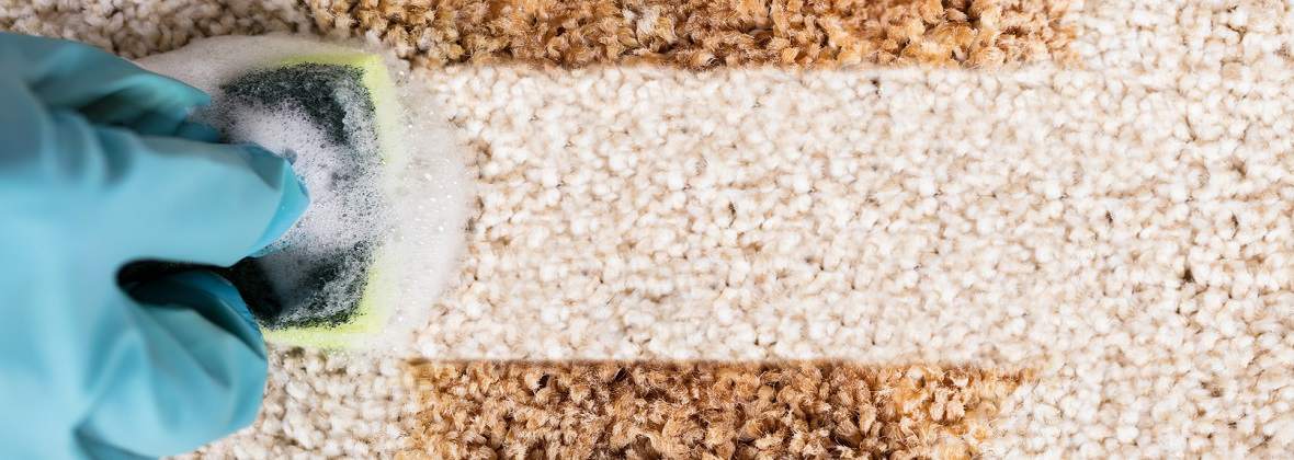 Cleanzin Damian Zinkiel