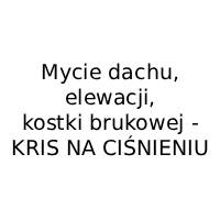 Mycie dachu, elewacji, kostki brukowej - KRIS NA CIŚNIENIU - Czyszczenie strumieniowo-ścierne