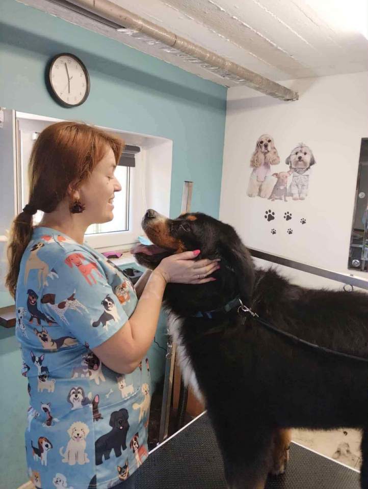 pielęgnacja sierści